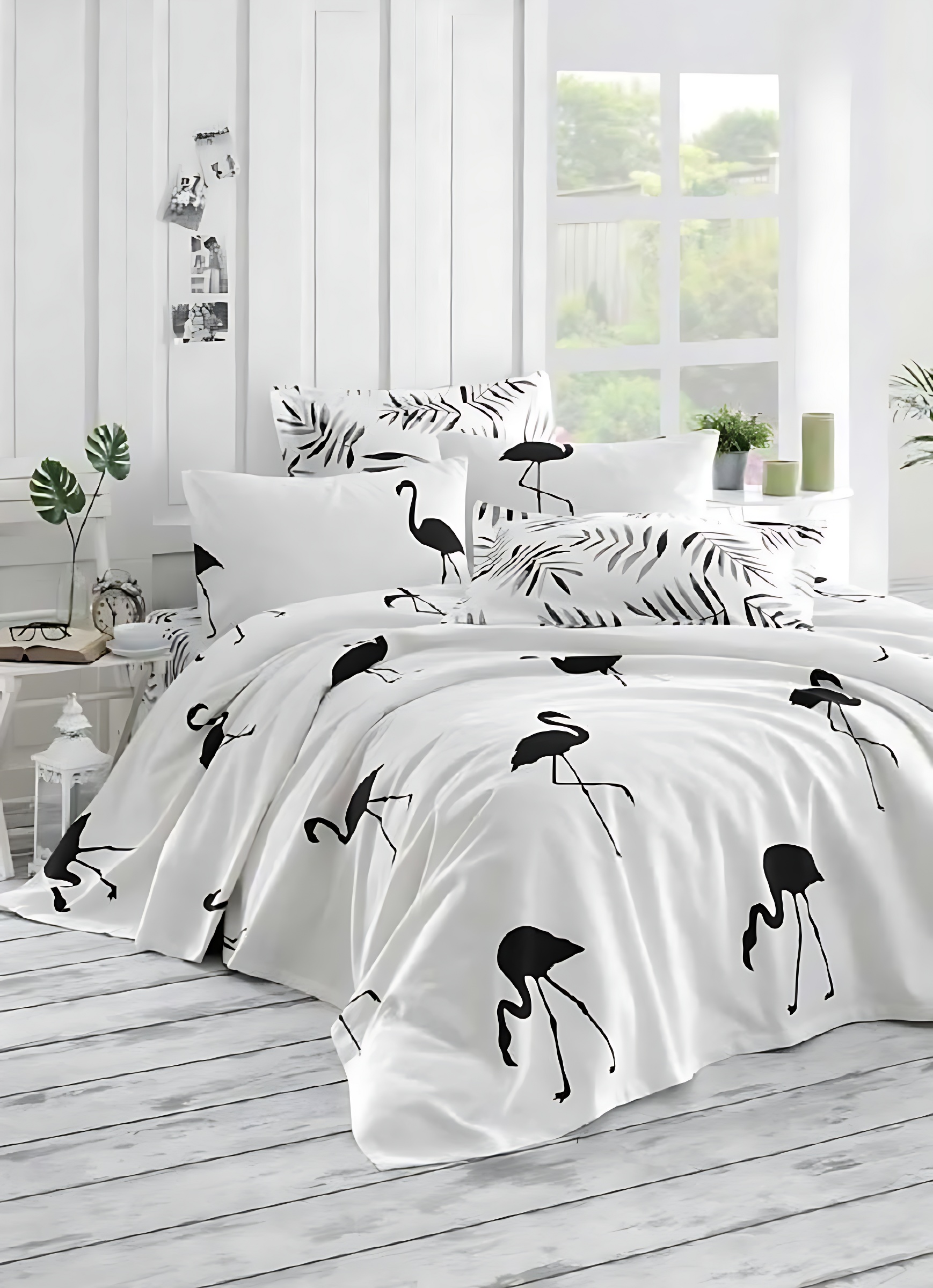 photo_5798704195111598859_x-new